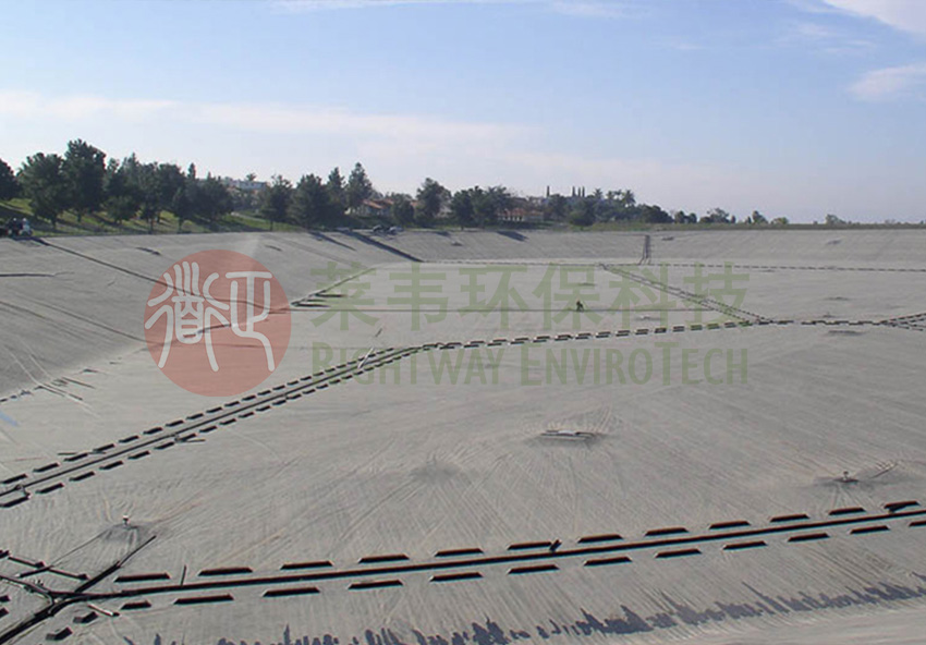 1605497675224257.jpg E3.jpg