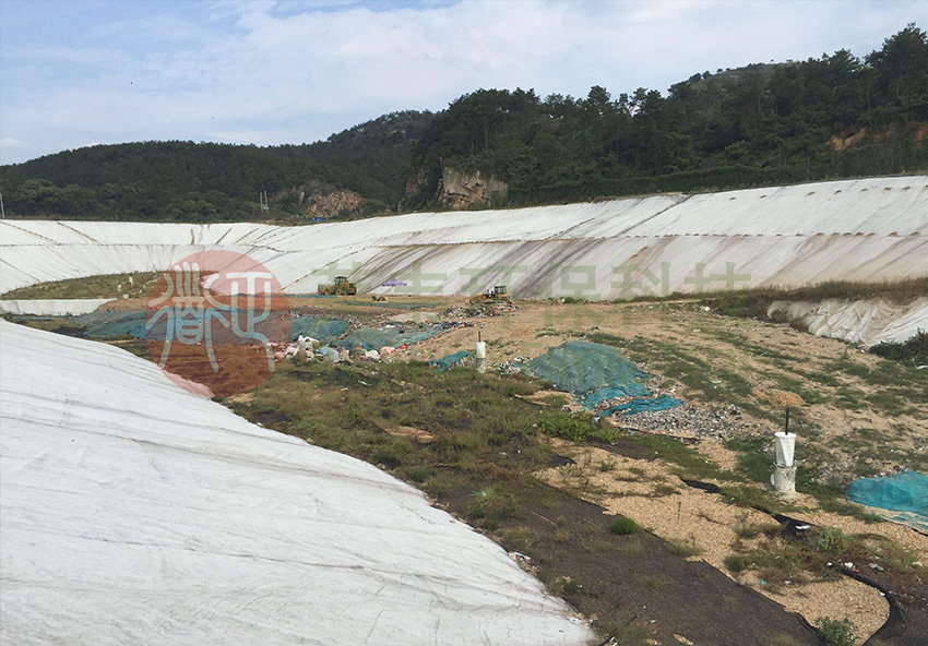 1605504689984584.jpg E20.jpg