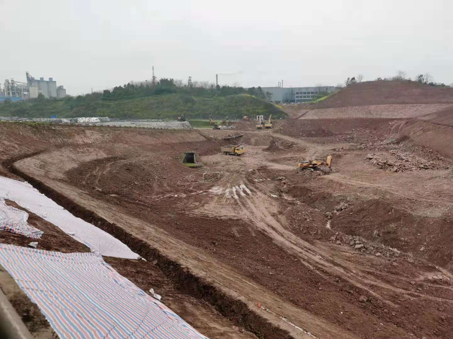 1610328647211741.jpg 1610328647211741.jpg