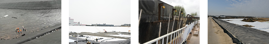 1615280296202902.jpg JU.jpg